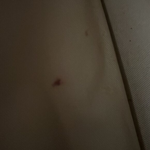 Chloe Aby Medium Leather Shoulder Bag - Picture 11 of 16